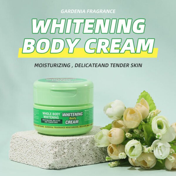 Moika Korean Natural whitening Body Cream Dark Spot Corrector Strong Remover Black Skin Bleaching Body and Facial Cream